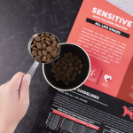 Exploring Nutritious Options in Salmon Dog Foods