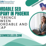 Affordable SEO Company in Phoenix: Difference Between Affordable and Cheap