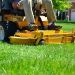 Lawn care, lawn maintenance, lawn services — Transform Your Business Environment with Expert Commercial Cleaning in Denver